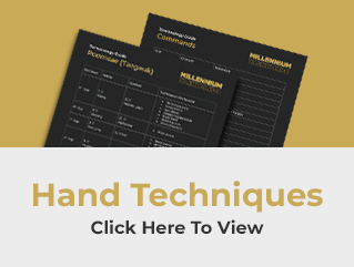 Hand Techniques